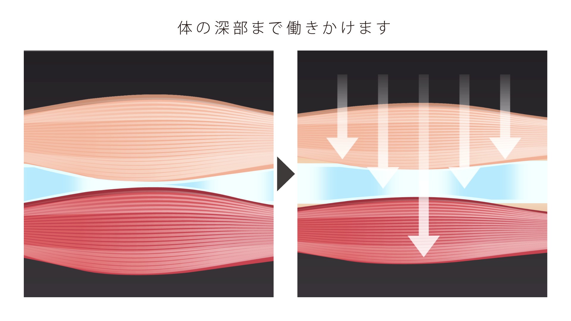 マルチスペクトルウェーブ イメージ