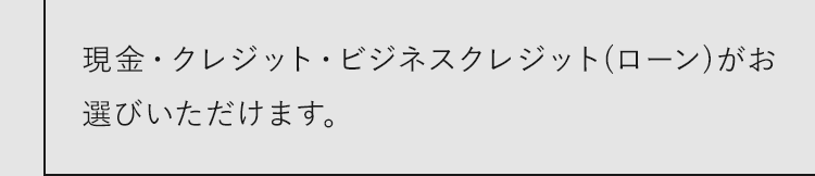 現金・クレジット・ビジネスクレジット(ローン)がお選びいただけます。